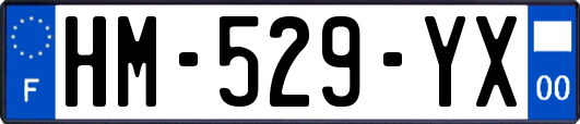 HM-529-YX