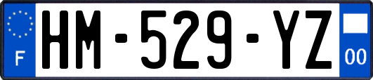 HM-529-YZ