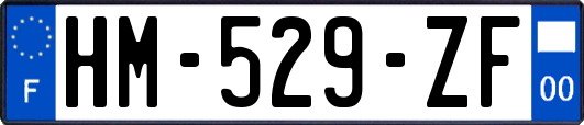 HM-529-ZF