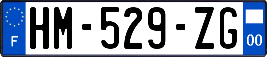 HM-529-ZG
