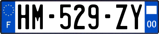 HM-529-ZY