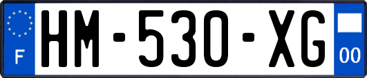 HM-530-XG