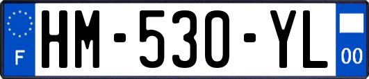 HM-530-YL
