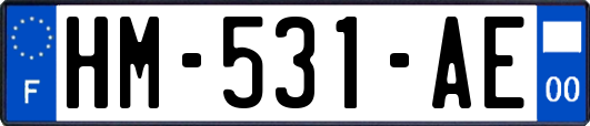 HM-531-AE