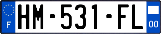 HM-531-FL