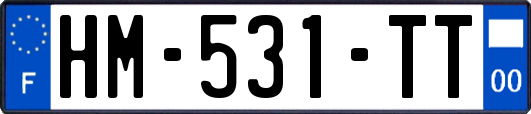 HM-531-TT