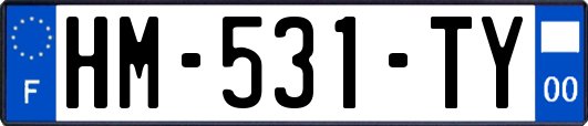 HM-531-TY
