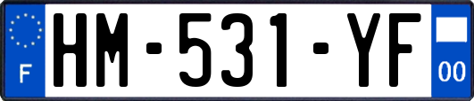 HM-531-YF