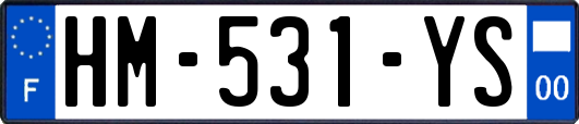 HM-531-YS