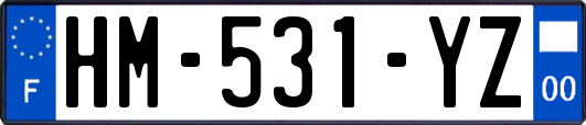 HM-531-YZ