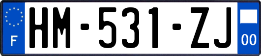 HM-531-ZJ