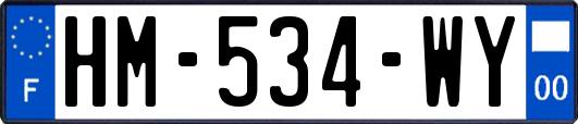 HM-534-WY