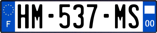 HM-537-MS