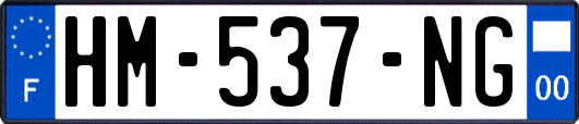 HM-537-NG