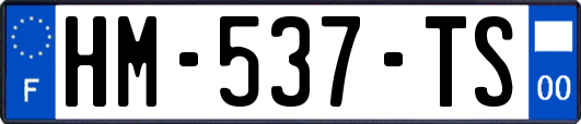 HM-537-TS