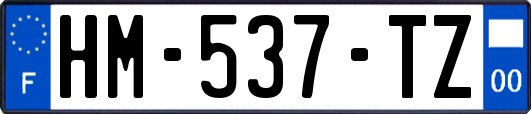 HM-537-TZ