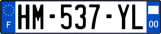 HM-537-YL
