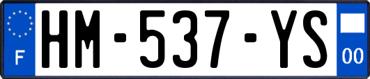 HM-537-YS