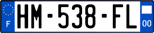 HM-538-FL