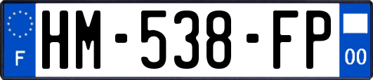 HM-538-FP
