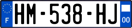 HM-538-HJ