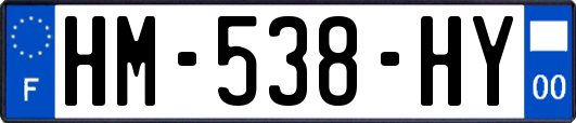 HM-538-HY