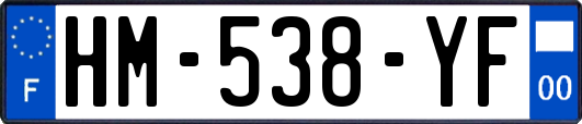 HM-538-YF