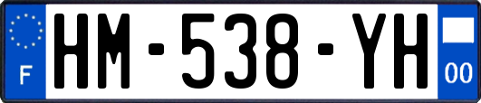 HM-538-YH