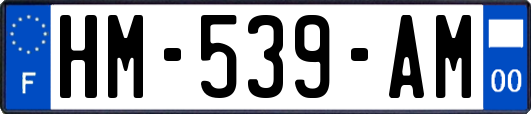 HM-539-AM
