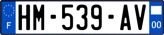 HM-539-AV