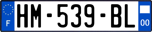 HM-539-BL