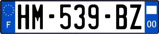 HM-539-BZ