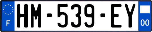 HM-539-EY