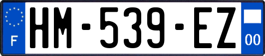 HM-539-EZ