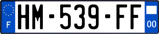 HM-539-FF