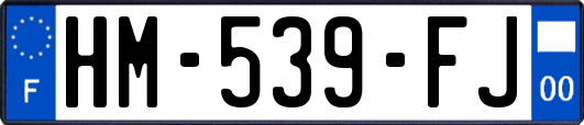 HM-539-FJ