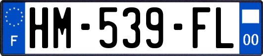 HM-539-FL