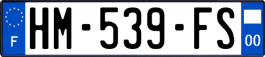 HM-539-FS