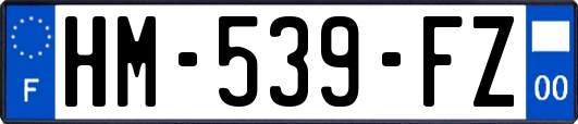 HM-539-FZ