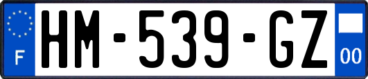 HM-539-GZ