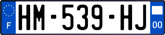 HM-539-HJ