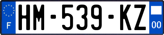 HM-539-KZ