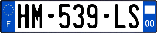 HM-539-LS