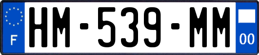 HM-539-MM