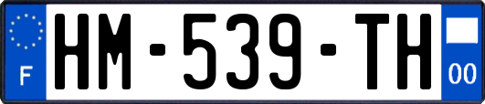 HM-539-TH