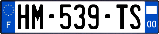 HM-539-TS