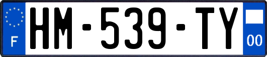 HM-539-TY
