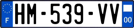 HM-539-VV