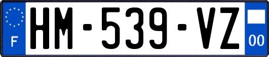 HM-539-VZ
