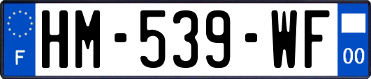 HM-539-WF
